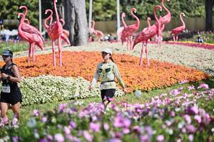 BIB: 
                            <button type="button" onclick="openModal(27794177)" class="btn btn-primary btn-sm float-right btn-popup" data-toggle="modal" data-target=".modal-high-quality">
                        <i class="fas fa-shopping-cart"></i> Add to Cart
                    </button>
                                            <button type="button" onclick="isThisMe(27794177, true)" class="btn btn-success btn-sm float-right btn-popup btn-isme hidden" data-toggle="tooltip" data-placement="bottom" title="นี่คือรูปของคุณใช่ไหม คลิกที่นี่เพื่อเอาเข้าอัลบั้ม">
                        <i class="fas fa-plus"></i> Add to album
                    </button>
                    <button type="button" onclick="isThisMe(27794177, false)" class="btn btn-warning btn-sm float-right btn-popup btn-isnotme hidden">
                        <i class="fas fa-ban"></i> Remove from album
                    </button>